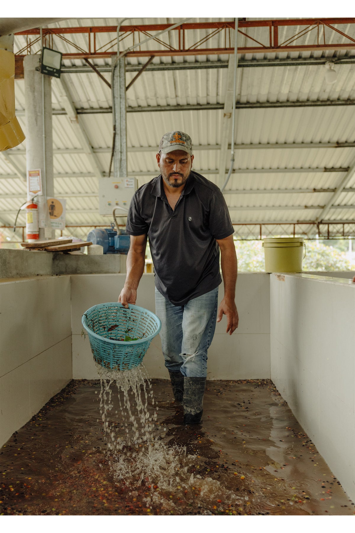 Honduras - Anaerobic Natural - Lopez Family Farm
