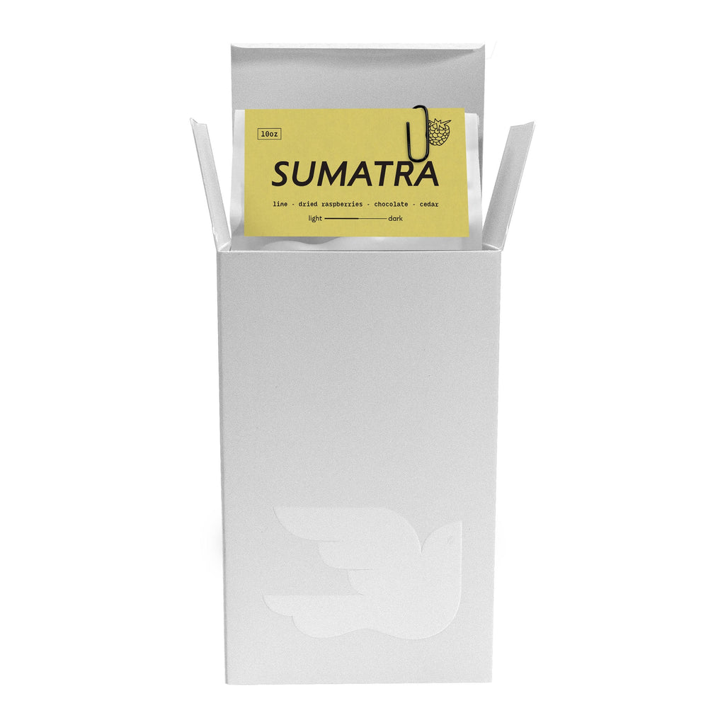 Sumatra | Whole Bean Coffee
