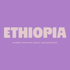 Ethiopia Yirgacheffe - Mr. Mengeche Derso