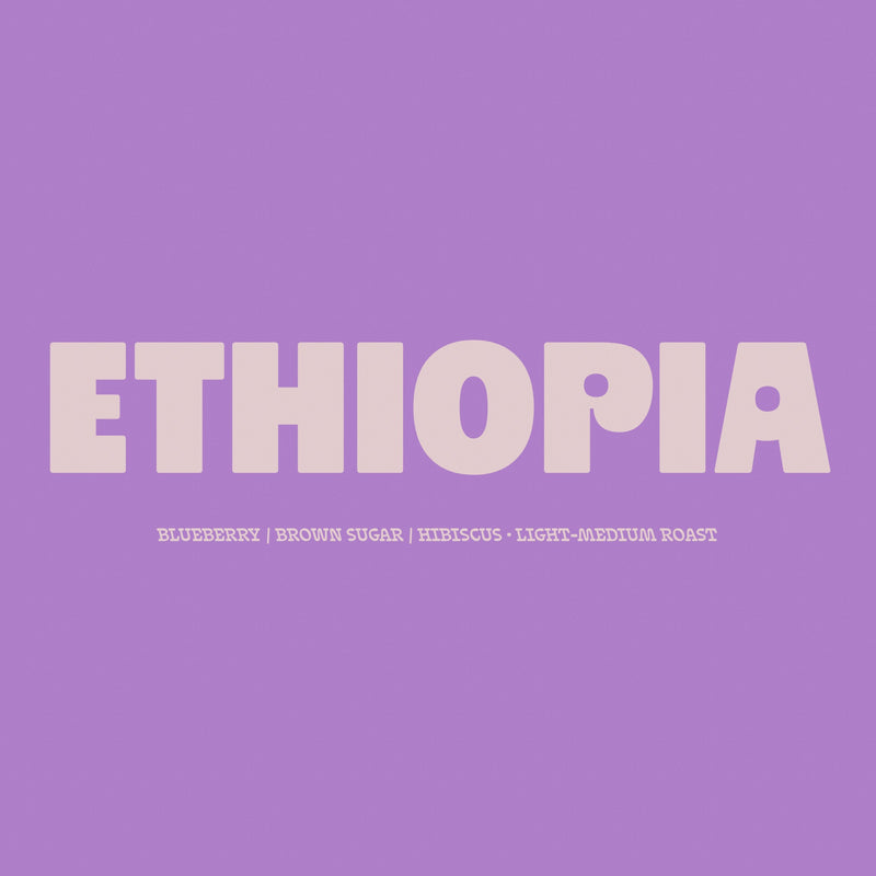 Ethiopia Yirgacheffe - Mr. Mengeche Derso