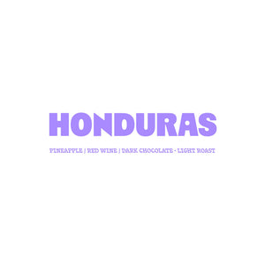 Honduras - Anaerobic Natural - Lopez Family Farm