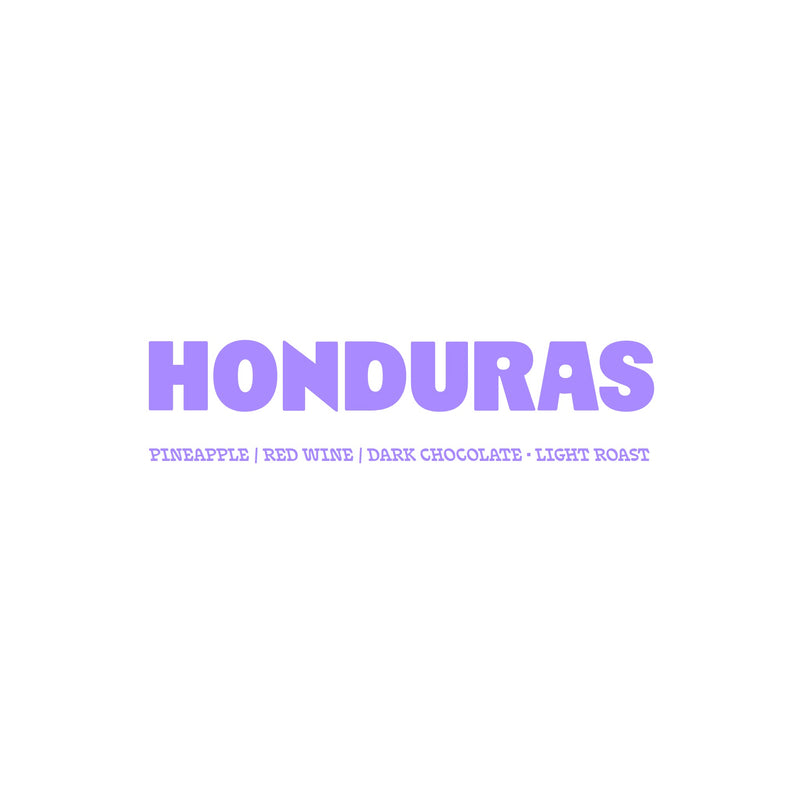 Honduras - Anaerobic Natural - Lopez Family Farm