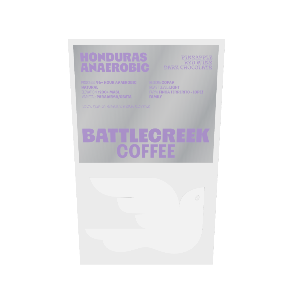 Honduras - Anaerobic Natural - Lopez Family Farm