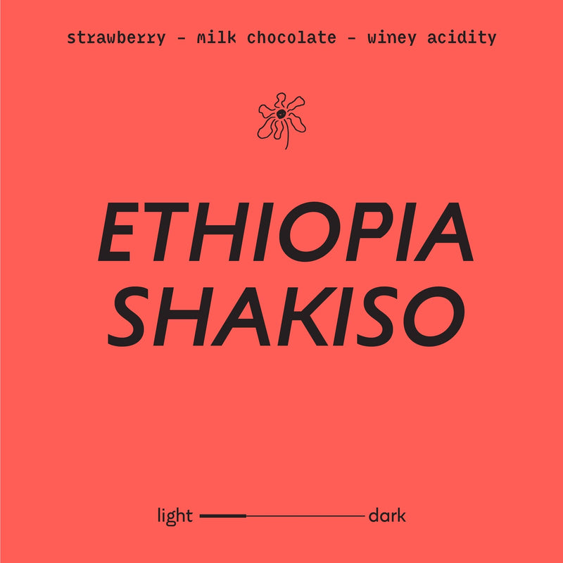 Ethiopia Shakiso | Whole Bean Coffee