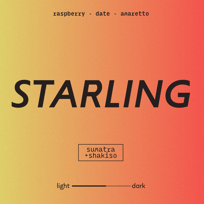 Starling Blend | Whole Bean Coffee