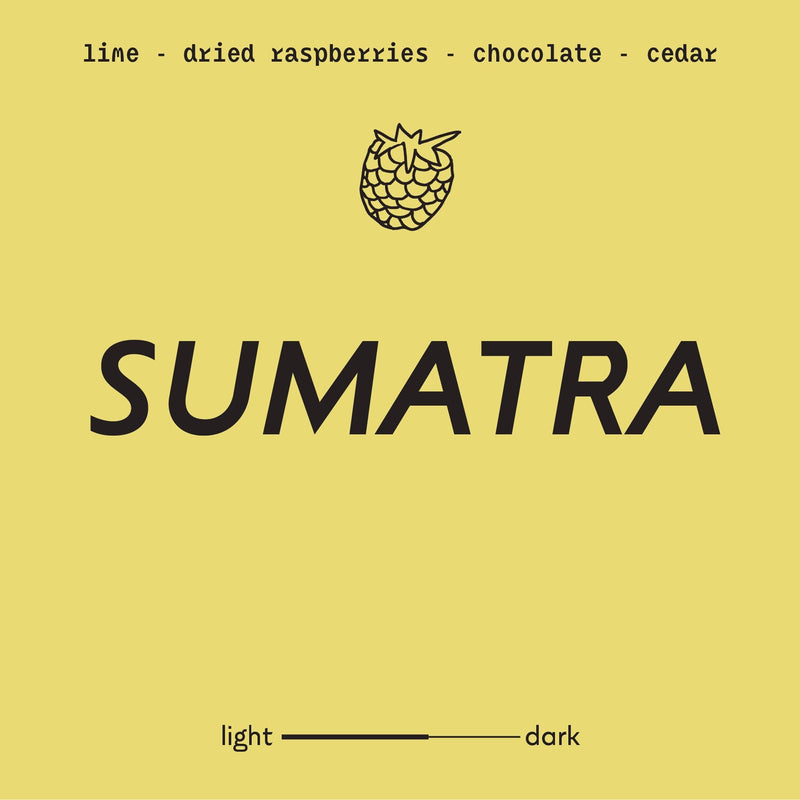 Sumatra | Whole Bean Coffee